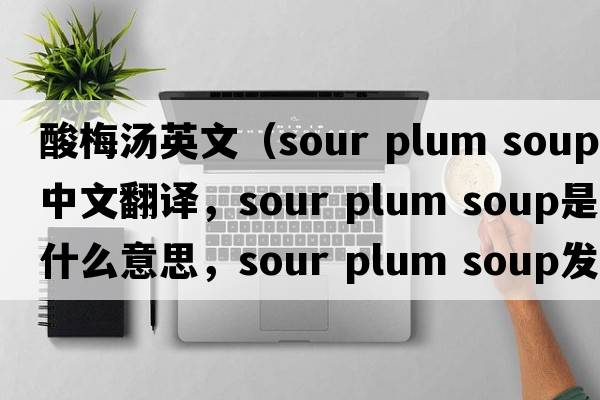 酸梅湯英文（sour plum soup中文翻譯，sour plum soup是什么意思，sour plum soup發(fā)音、用法及例句）
