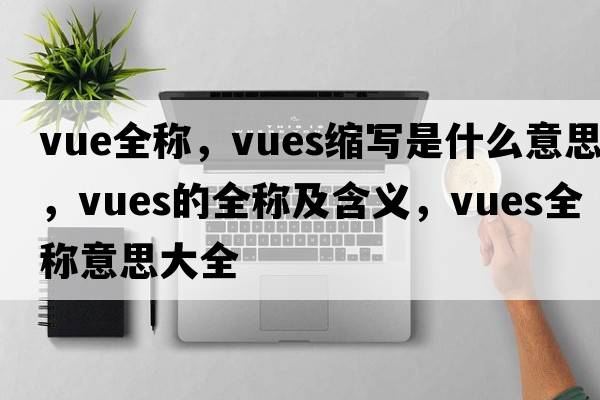 vue全稱，vues縮寫是什么意思，vues的全稱及含義，vues全稱意思大全