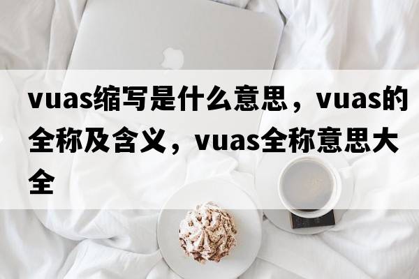 vuas縮寫是什么意思，vuas的全稱及含義，vuas全稱意思大全
