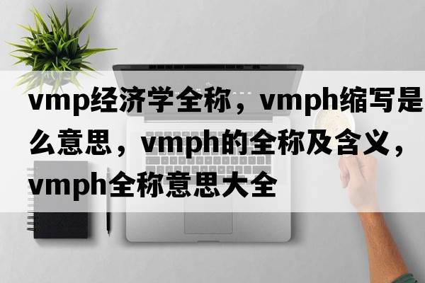 vmp經(jīng)濟(jì)學(xué)全稱，vmph縮寫是什么意思，vmph的全稱及含義，vmph全稱意思大全