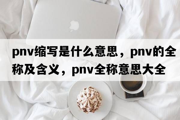 pnv縮寫是什么意思，pnv的全稱及含義，pnv全稱意思大全