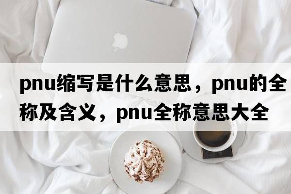 pnu縮寫是什么意思，pnu的全稱及含義，pnu全稱意思大全