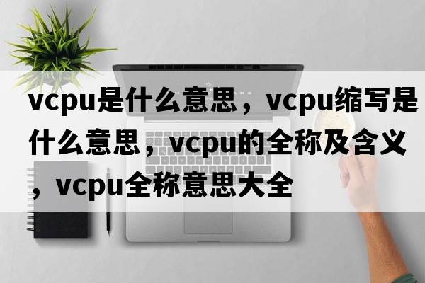 vcpu是什么意思，vcpu縮寫是什么意思，vcpu的全稱及含義，vcpu全稱意思大全
