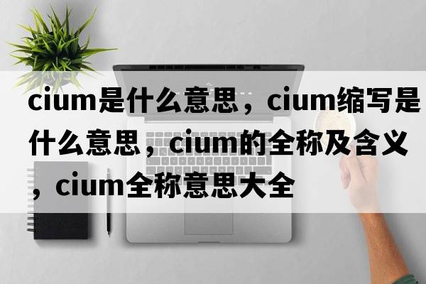 cium是什么意思，cium縮寫是什么意思，cium的全稱及含義，cium全稱意思大全