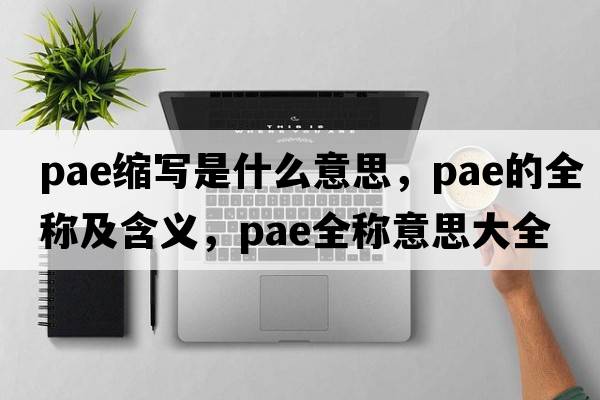 pae縮寫是什么意思，pae的全稱及含義，pae全稱意思大全