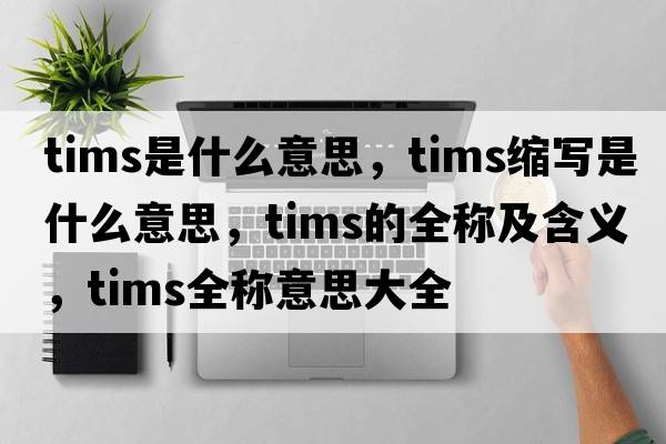 tims是什么意思，tims縮寫是什么意思，tims的全稱及含義，tims全稱意思大全