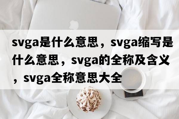 svga是什么意思，svga縮寫(xiě)是什么意思，svga的全稱及含義，svga全稱意思大全