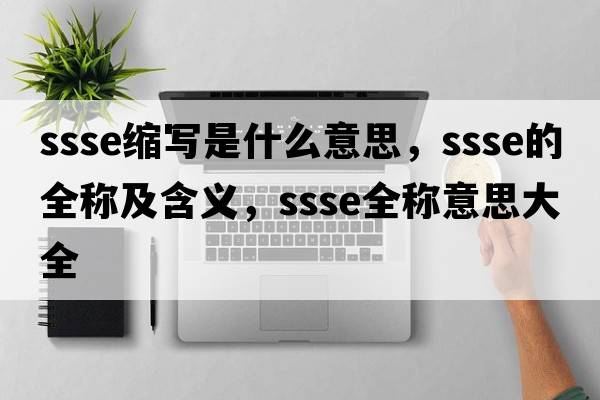 ssse縮寫是什么意思，ssse的全稱及含義，ssse全稱意思大全