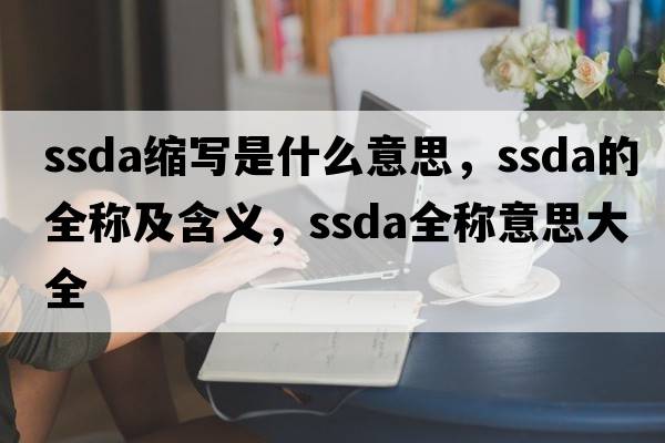 ssda縮寫是什么意思，ssda的全稱及含義，ssda全稱意思大全