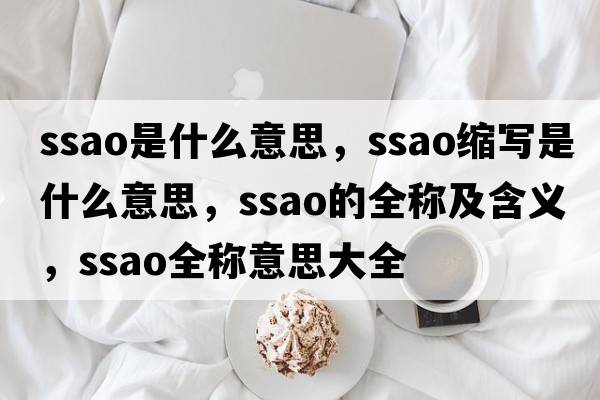 ssao是什么意思，ssao縮寫是什么意思，ssao的全稱及含義，ssao全稱意思大全
