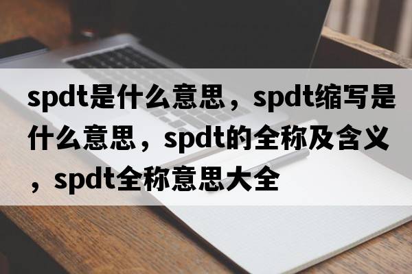 spdt是什么意思，spdt縮寫是什么意思，spdt的全稱及含義，spdt全稱意思大全
