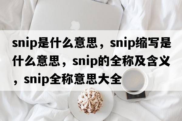 snip是什么意思，snip縮寫(xiě)是什么意思，snip的全稱(chēng)及含義，snip全稱(chēng)意思大全