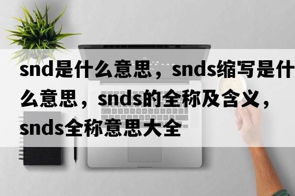 snd是什么意思，snds縮寫是什么意思，snds的全稱及含義，snds全稱意思大全