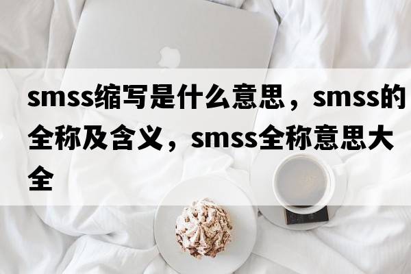 smss縮寫是什么意思，smss的全稱及含義，smss全稱意思大全