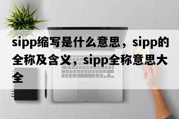 sipp縮寫是什么意思，sipp的全稱及含義，sipp全稱意思大全