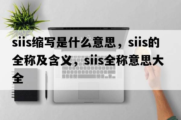 siis縮寫是什么意思，siis的全稱及含義，siis全稱意思大全