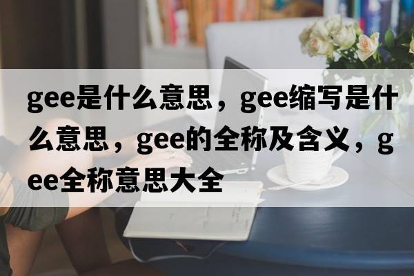 gee是什么意思，gee縮寫是什么意思，gee的全稱及含義，gee全稱意思大全