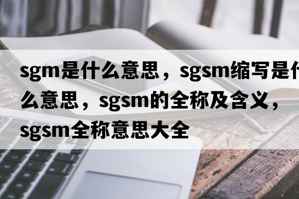 sgm是什么意思，sgsm縮寫(xiě)是什么意思，sgsm的全稱(chēng)及含義，sgsm全稱(chēng)意思大全