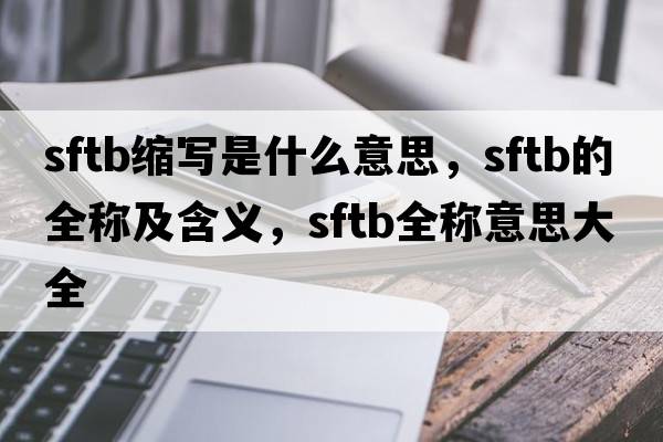 sftb縮寫是什么意思，sftb的全稱及含義，sftb全稱意思大全