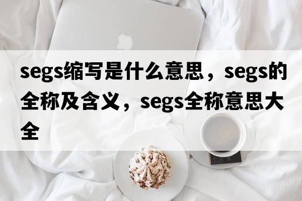 segs縮寫是什么意思，segs的全稱及含義，segs全稱意思大全