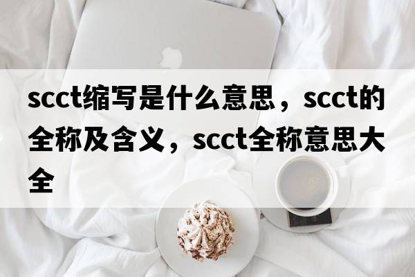 scct縮寫是什么意思，scct的全稱及含義，scct全稱意思大全