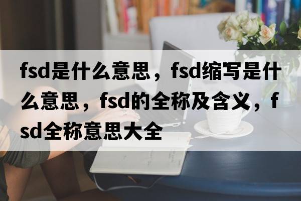 fsd是什么意思，fsd縮寫是什么意思，fsd的全稱及含義，fsd全稱意思大全