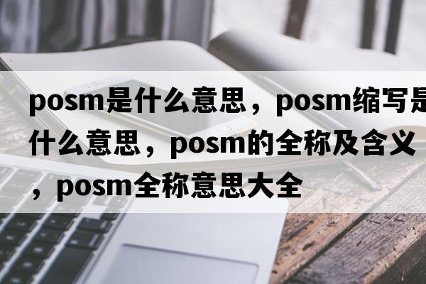posm是什么意思，posm縮寫是什么意思，posm的全稱及含義，posm全稱意思大全