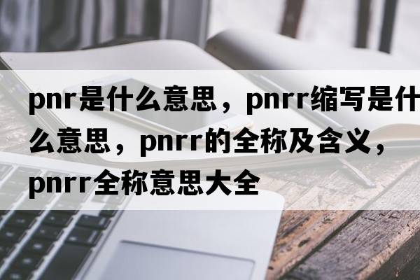 pnr是什么意思，pnrr縮寫是什么意思，pnrr的全稱及含義，pnrr全稱意思大全