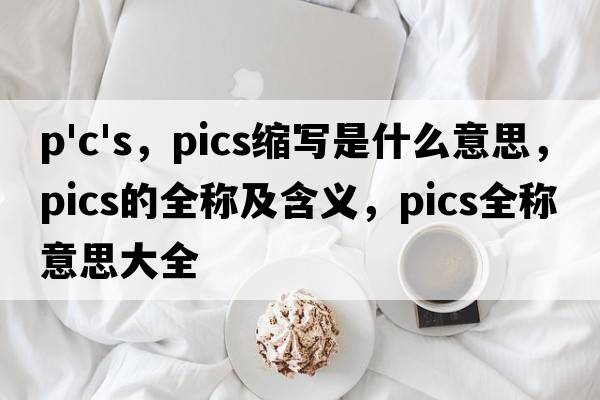 p'c's，pics縮寫是什么意思，pics的全稱及含義，pics全稱意思大全