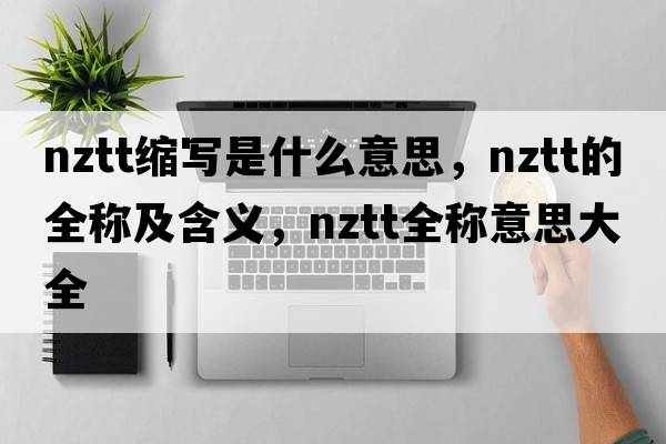 nztt縮寫是什么意思，nztt的全稱及含義，nztt全稱意思大全