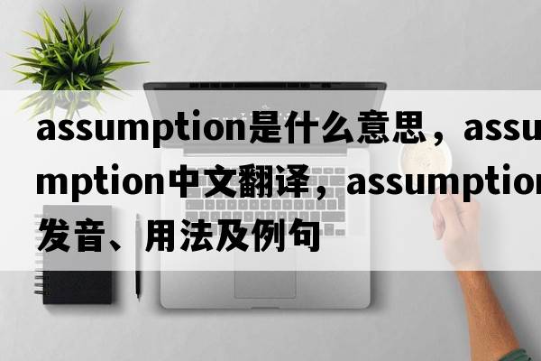 assumption是什么意思，assumption中文翻譯，assumption發(fā)音、用法及例句