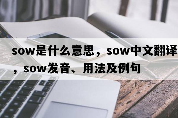 sow是什么意思，sow中文翻譯，sow發(fā)音、用法及例句