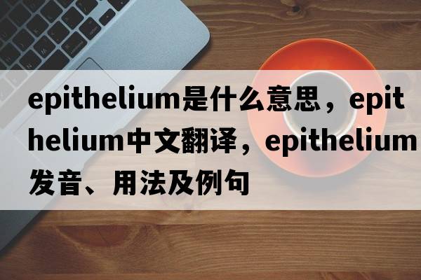epithelium是什么意思，epithelium中文翻譯，epithelium發(fā)音、用法及例句
