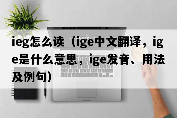 ieg怎么讀（ige中文翻譯，ige是什么意思，ige發(fā)音、用法及例句）