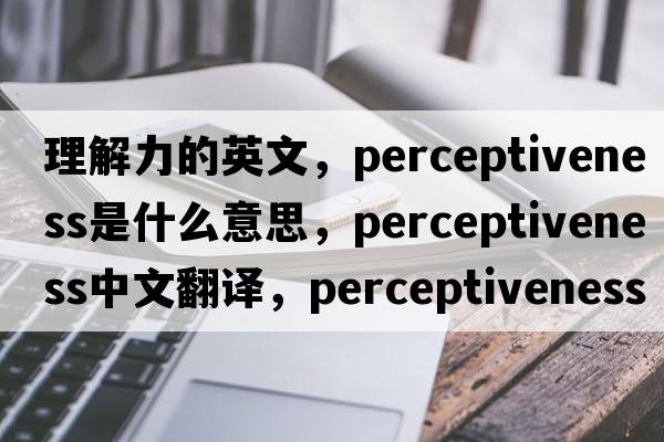 理解力的英文，perceptiveness是什么意思，perceptiveness中文翻譯，perceptiveness發(fā)音、用法及例句