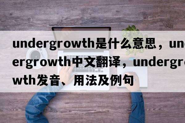 undergrowth是什么意思，undergrowth中文翻譯，undergrowth發(fā)音、用法及例句