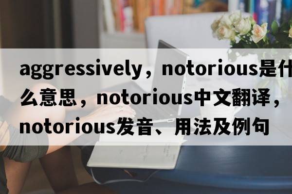 aggressively，notorious是什么意思，notorious中文翻譯，notorious發(fā)音、用法及例句