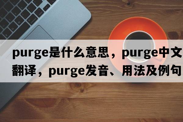 purge是什么意思，purge中文翻譯，purge發(fā)音、用法及例句