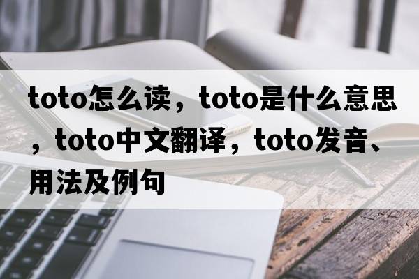 toto怎么讀，toto是什么意思，toto中文翻譯，toto發(fā)音、用法及例句