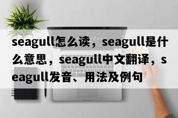 seagull怎么讀，seagull是什么意思，seagull中文翻譯，seagull發(fā)音、用法及例句