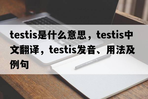 testis是什么意思，testis中文翻譯，testis發(fā)音、用法及例句