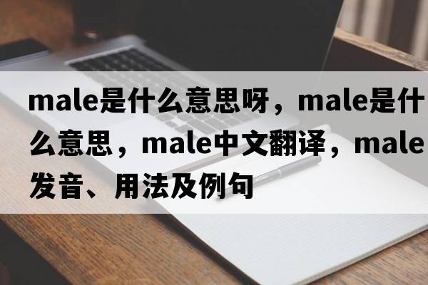 male是什么意思呀，male是什么意思，male中文翻譯，male發(fā)音、用法及例句
