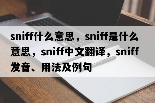 sniff什么意思，sniff是什么意思，sniff中文翻譯，sniff發(fā)音、用法及例句