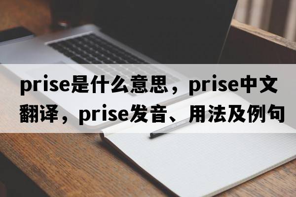 prise是什么意思，prise中文翻譯，prise發(fā)音、用法及例句