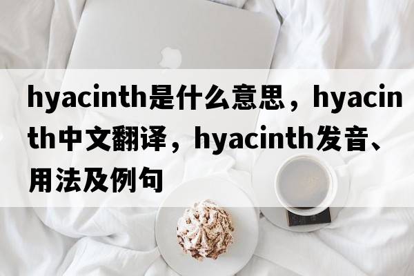 hyacinth是什么意思，hyacinth中文翻譯，hyacinth發(fā)音、用法及例句