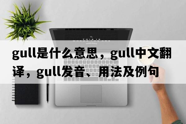 gull是什么意思，gull中文翻譯，gull發(fā)音、用法及例句
