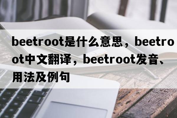 beetroot是什么意思，beetroot中文翻譯，beetroot發(fā)音、用法及例句