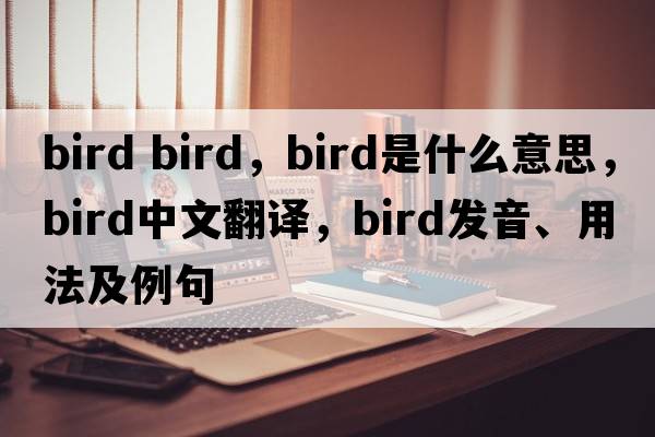 bird bird，bird是什么意思，bird中文翻譯，bird發(fā)音、用法及例句