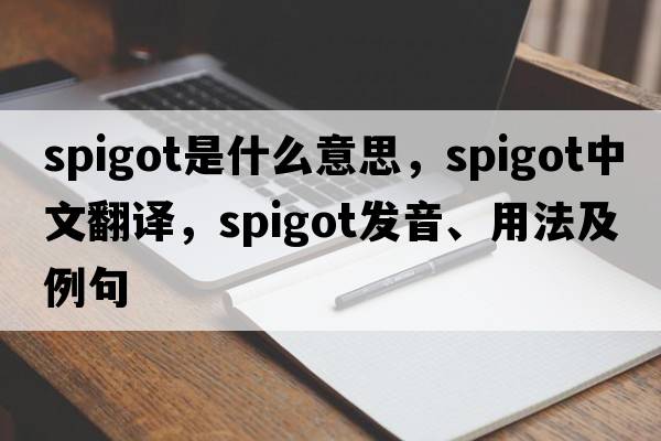spigot是什么意思，spigot中文翻譯，spigot發(fā)音、用法及例句