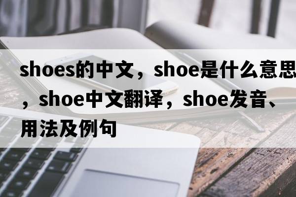 shoes的中文，shoe是什么意思，shoe中文翻譯，shoe發(fā)音、用法及例句